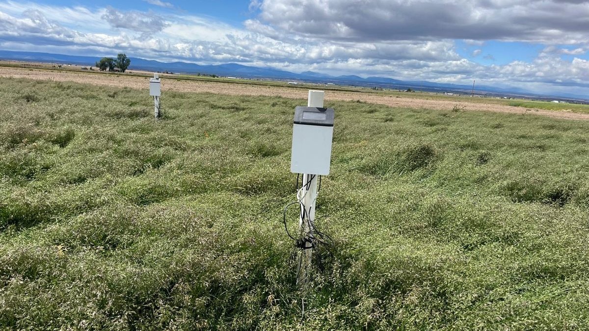 In-field sensor stations for climate-smart agriculture