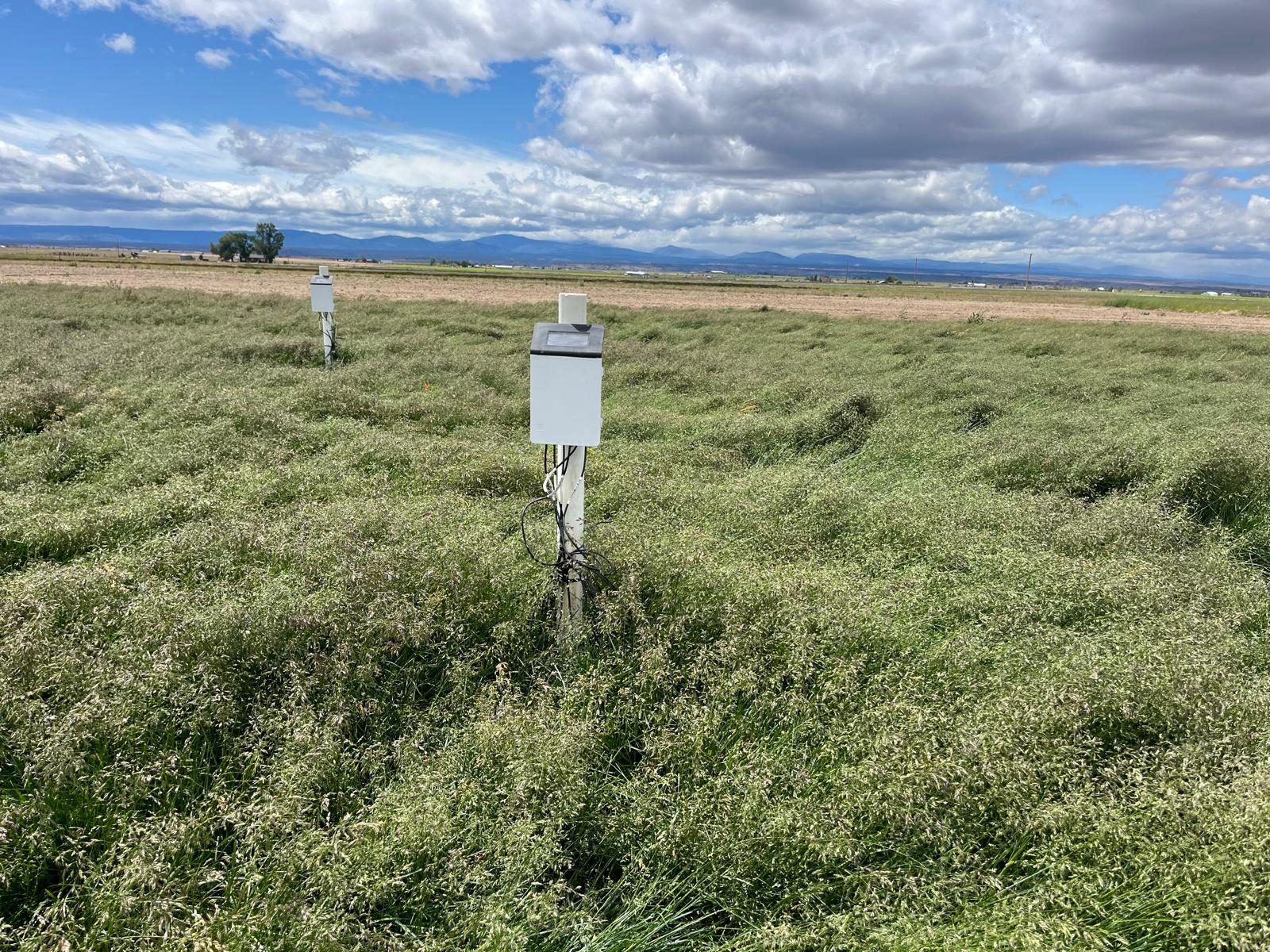 Soil moisture data logger at COAREC
