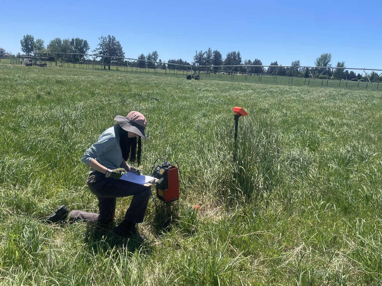 Student taking soil moisture measurements